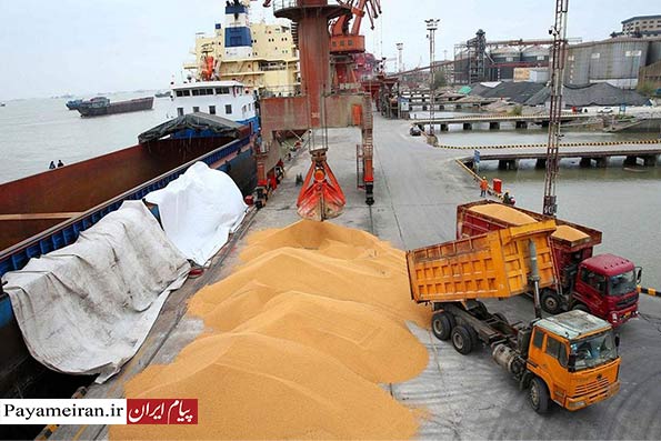 واردات ۱۴۰ هزار تن گندم به کشور