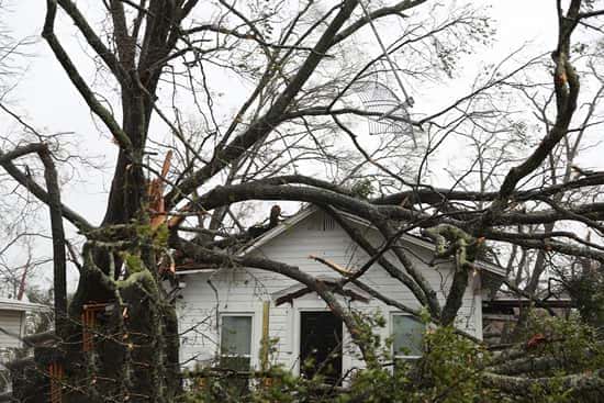 خسارات طوفان مایکل در فلوریدا/ نیم میلیون نفر خانه‌هایشان را ترک کردند
