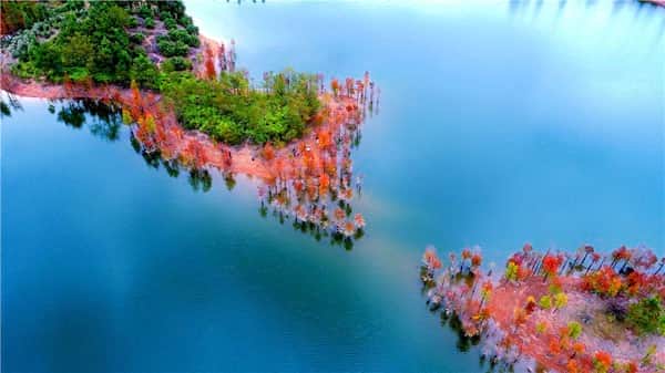 تصاویر دیدنی از جنگل‌های هزار رنگ چین