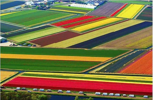 هلند 16 برابر ایران محصول کشاورزی و 2 برابر درآمد نفتی دارد