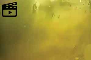 جدیدترین ویدئو از شدت سانحه سقوط هواپیمای اوکراینی از یک دوربین مداربسته
