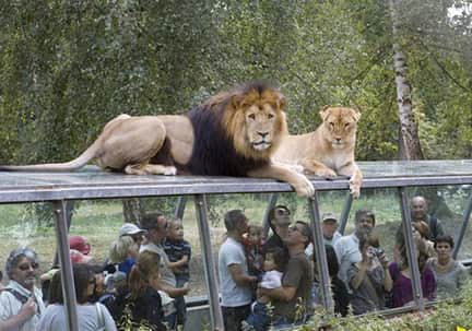 تصاویر/ عجیب‌ترین باغ وحش دنیا!