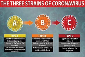 شناسایی ۳ گونه‌ مختلف ویروس کرونا توسط محققان دانشگاه کمبریج