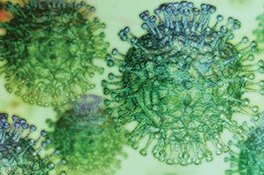 ۲ واکسن ویروس کرونا وارد مرحله آزمایشات انسانی شدند 