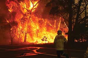 مرگ بیش از یک میلیارد حیوان در آتش‌سوزی بی‌سابقه استرالیا + عکس