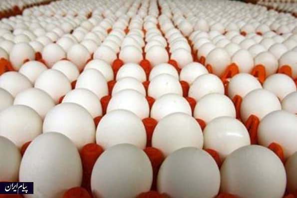 عرضه تخم‌مرغ  در تهران؛ شانه‌ای 13 هزار و 800 تومان