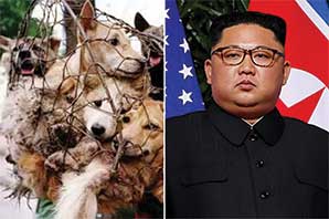 رهبر کره شمالی خطاب به گرسنگان: سگ ها را بکشید و بخورید