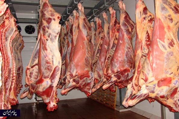 وزیر کشاورزی: نرخ دلار، گوشت را گران کرد