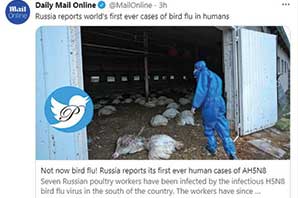 اولین مورد ابتلای انسانی به آنلوانزای مرغی در روسیه