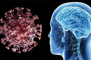 یک سوم موارد شدید کووید-۱۹ درگیری مغز و دستگاه عصبی دارند