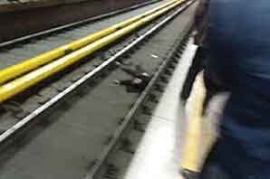 خودکشی مرد ۳۷ ساله در مترو تهران