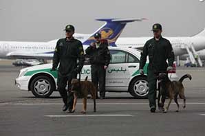 دستگیری ۱۱ قاچاقچی مواد مخدر در فرودگاه امام (ره)