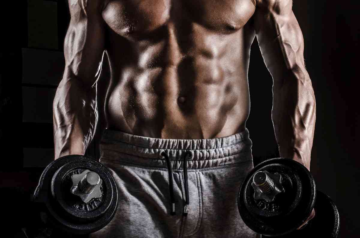 bodybuilder_chest_abs_weights-fitshape.jpg