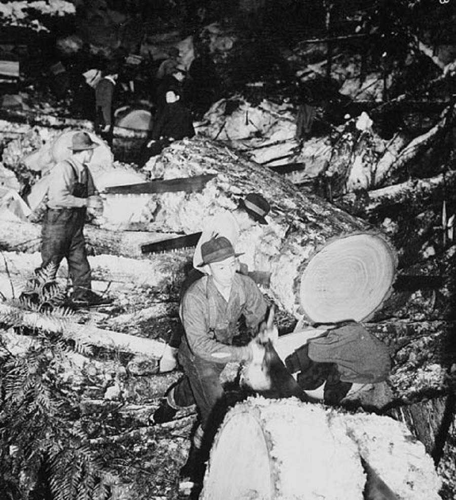 روستای ژاپنی رها شده ای در جنگل‌های کانادا پیدا شد!