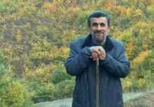 احمدی‌نژاد چوپان نیست!/ واکنش اشتباه کاربران ترکیه/ عکس