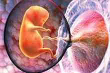 راهیابی میکروپلاستیک‌ها به درون جفت جنین!