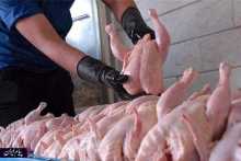 وعده کاهش قیمت مرغ تا ۲ هفته آینده 