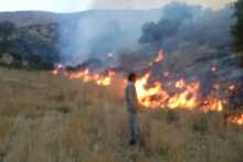 4 کشته و 9 مصدوم در آتش سوزی مراتع مریوان