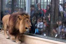 به روز ترین باغ‌ وحش‌ ایران در علیصدر همدان افتتاح می شود