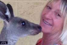 حمله وحشیانه کانگورو به یک خانواده استرالیایی