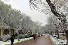 هوا سرد می‌شود/ احتمال بارش برف در تهران