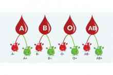 کدام گروه های خونی بیشتر به کرونا مبتلا می شوند؟