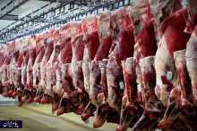 کشف 800 کیلو گوشت فاسد در قزوین