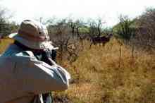  افزایش چشمگیر شکار حیوان‌های وحشی در دوران کرونا